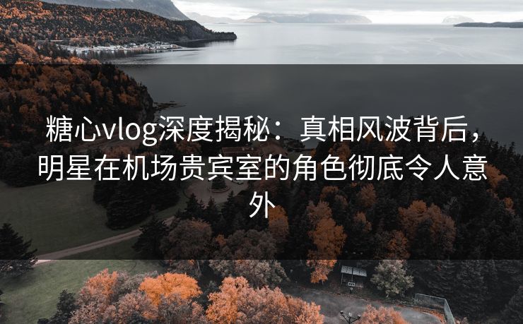 糖心vlog深度揭秘：真相风波背后，明星在机场贵宾室的角色彻底令人意外