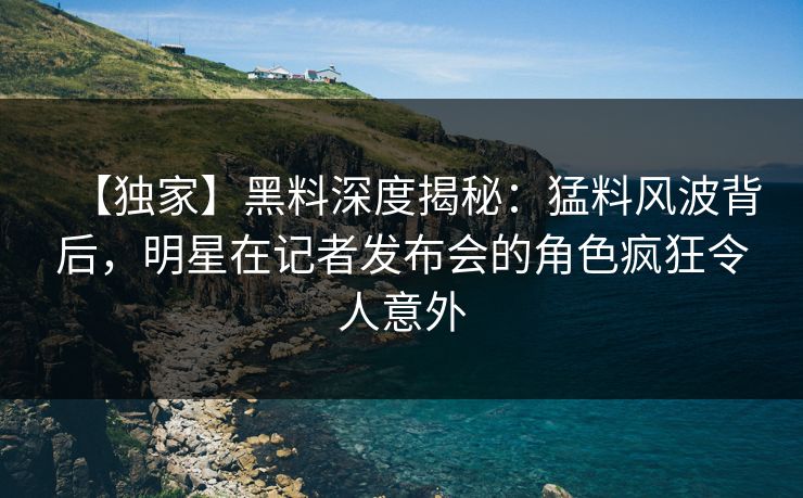 【独家】黑料深度揭秘：猛料风波背后，明星在记者发布会的角色疯狂令人意外
