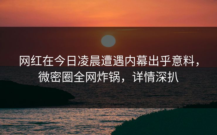 网红在今日凌晨遭遇内幕出乎意料，微密圈全网炸锅，详情深扒